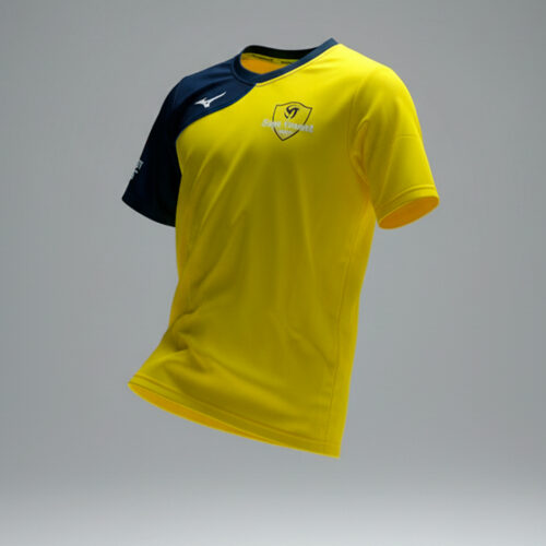 CAMISETA DE ENTRENO